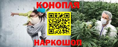 дурь Новодвинск