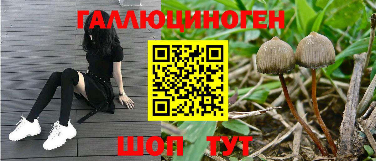 Галлюциногенные грибы мухоморы Дюртюли